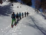 2016-02-06_04 zwischen Waldbode und Alp Gapfahl.jpg